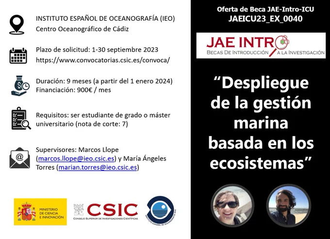 🔝Beca @JAEIntro_CSIC🔝

Hoy se abre el plazo para solicitar la beca "Despliegue de la gestión marina basada en los ecosistemas" 

🏢Lugar: #IEOCadiz

🗓️Fecha límite: 30.09.23

🤓Supervisores: <a href="/MLlope/">Marcos Llope</a> y <a href="/MA_Torres_Leal/">Marián Torres</a> 

📄Solicitudes👉bit.ly/45EUjgM

#IEO #CSIC