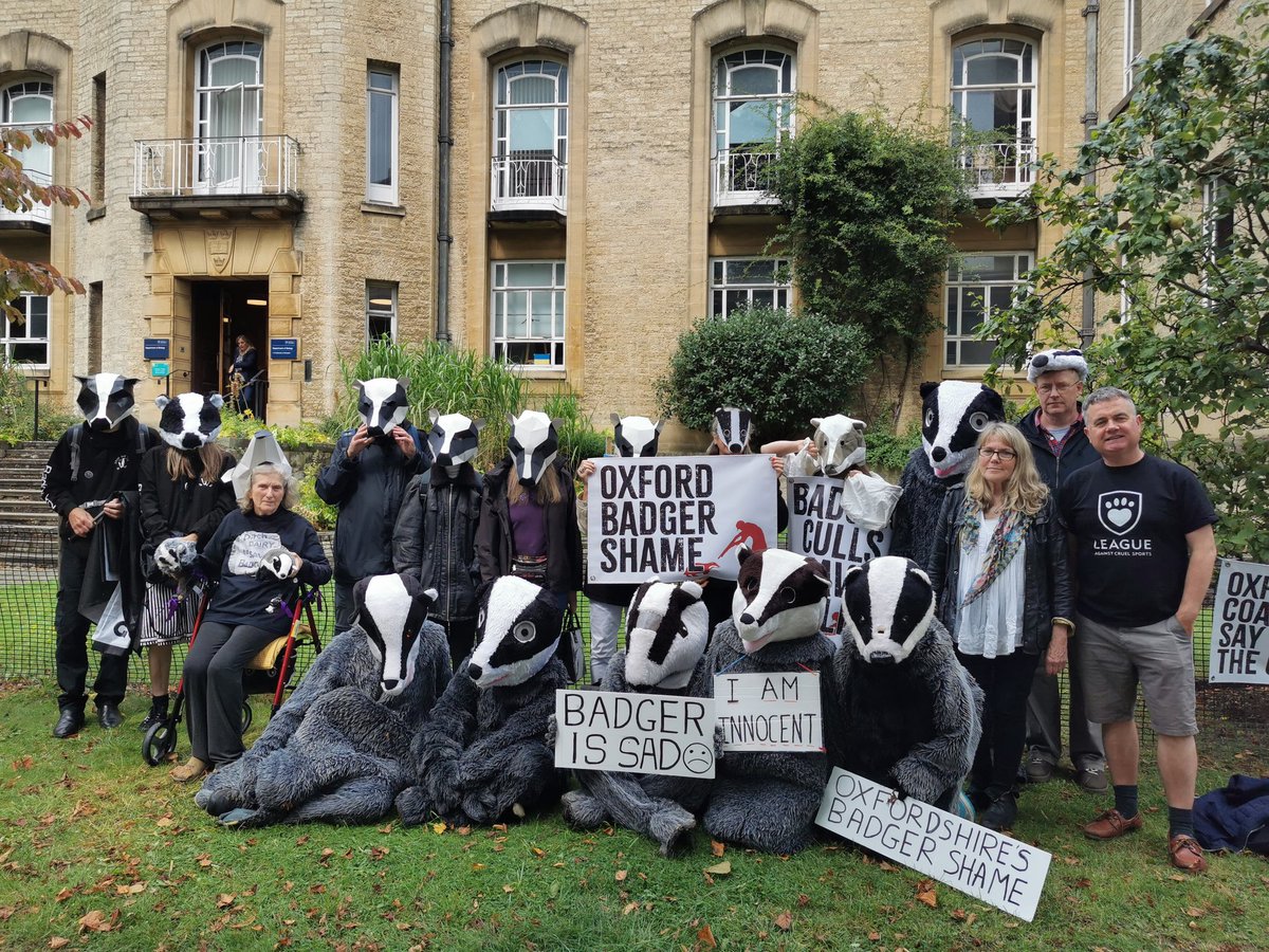 We would love the Oxford scientists who conducted the RBCT to join us in speaking out against the current badger culls and the prospect of future epi culling.

Badgers outside the Biology Dept in Oxford today. #EndtheCull