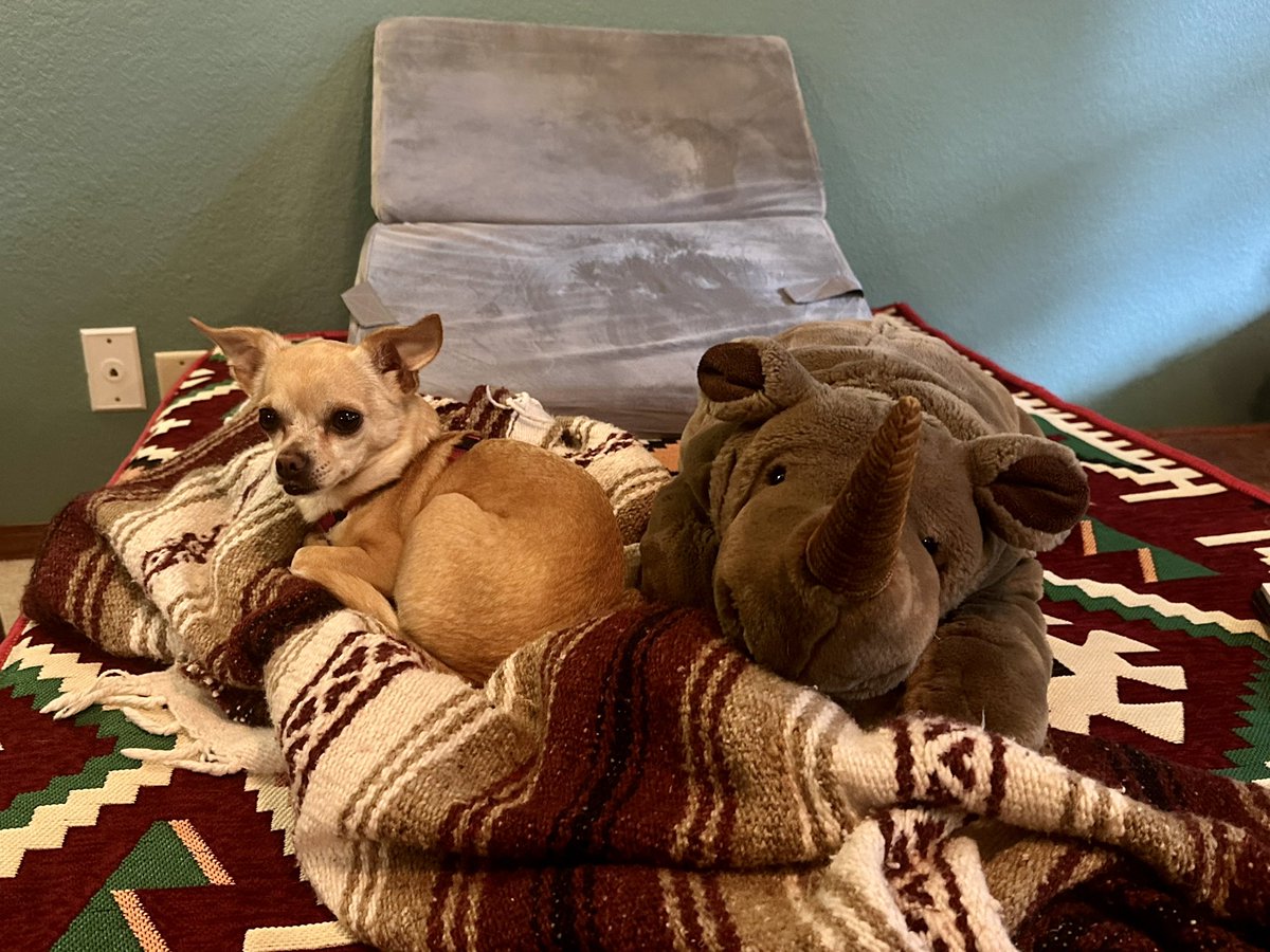 it’s ok to be confident. it’s ok to be proud of your own accomplishments. it’s ok to feel powerful.