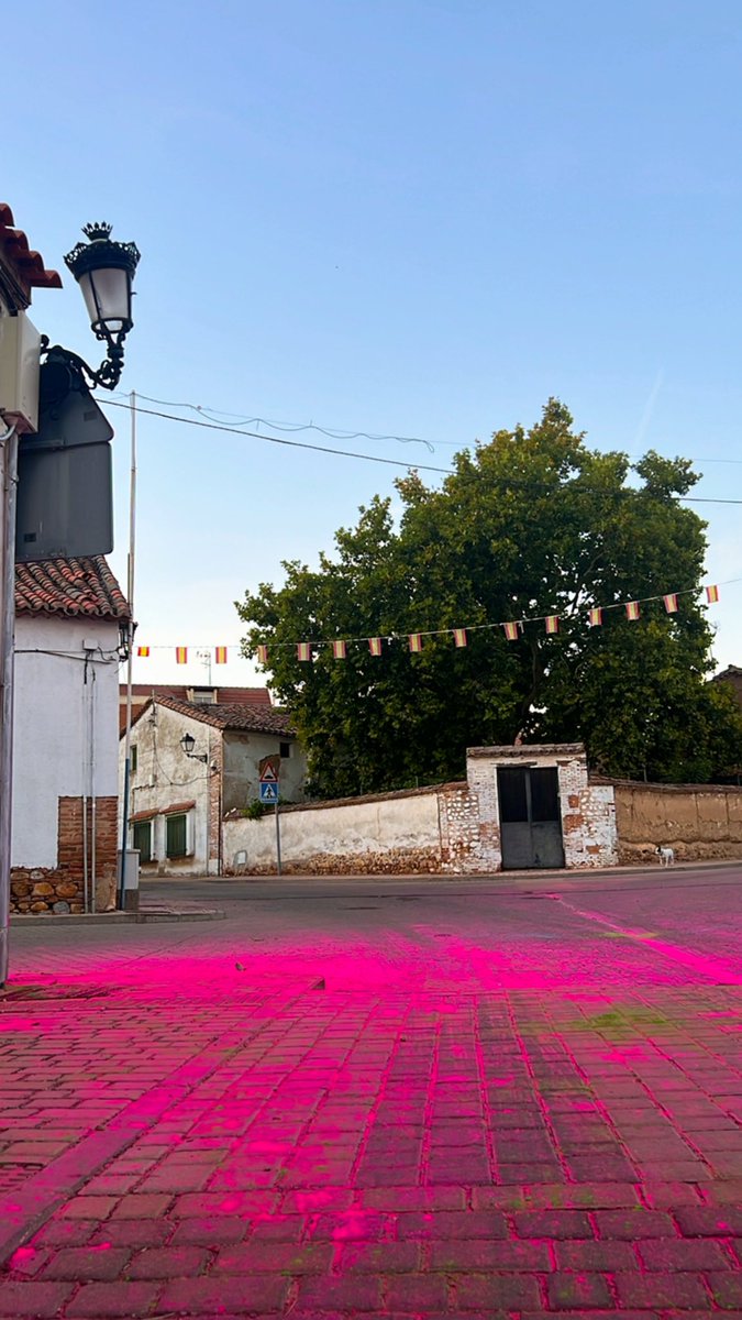 mialmadelunares's tweet image. #Quer #colorrun #colores