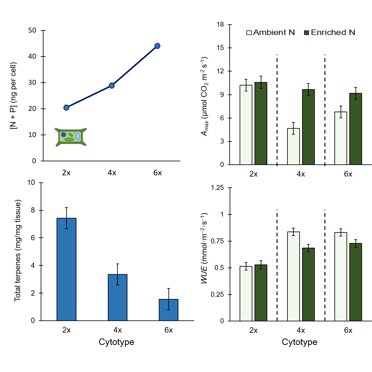 Botanical_'s tweet photo. Genome-material costs &amp; functional trade-offs in the autopolyploid giant #goldenrod series

(new #AJB research by @AngelaWalczyk &amp; @E_HerschGreen) 

https://t.co/z9OCqfQNHE #botany #polyploidy #photosynthesis #ecophysiology @wileyplantsci https://t.co/DiLrIGK8h3