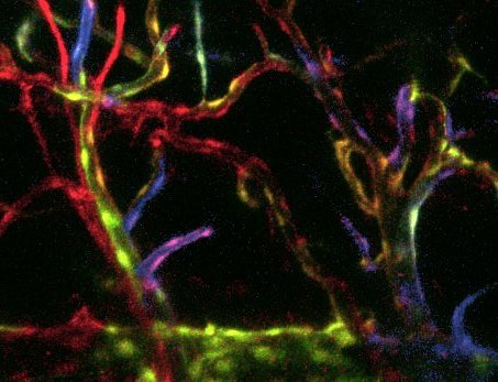 My #FluorescentFriday !!