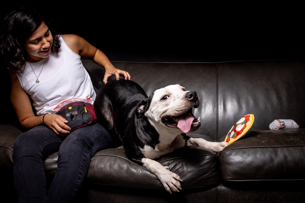 austinanimals's tweet photo. Tajin has spent two years in the shelter system and his best volunteer friends simply have no idea why.

A840685 https://t.co/RShjIWy51h https://t.co/SKUs2Z0Aby