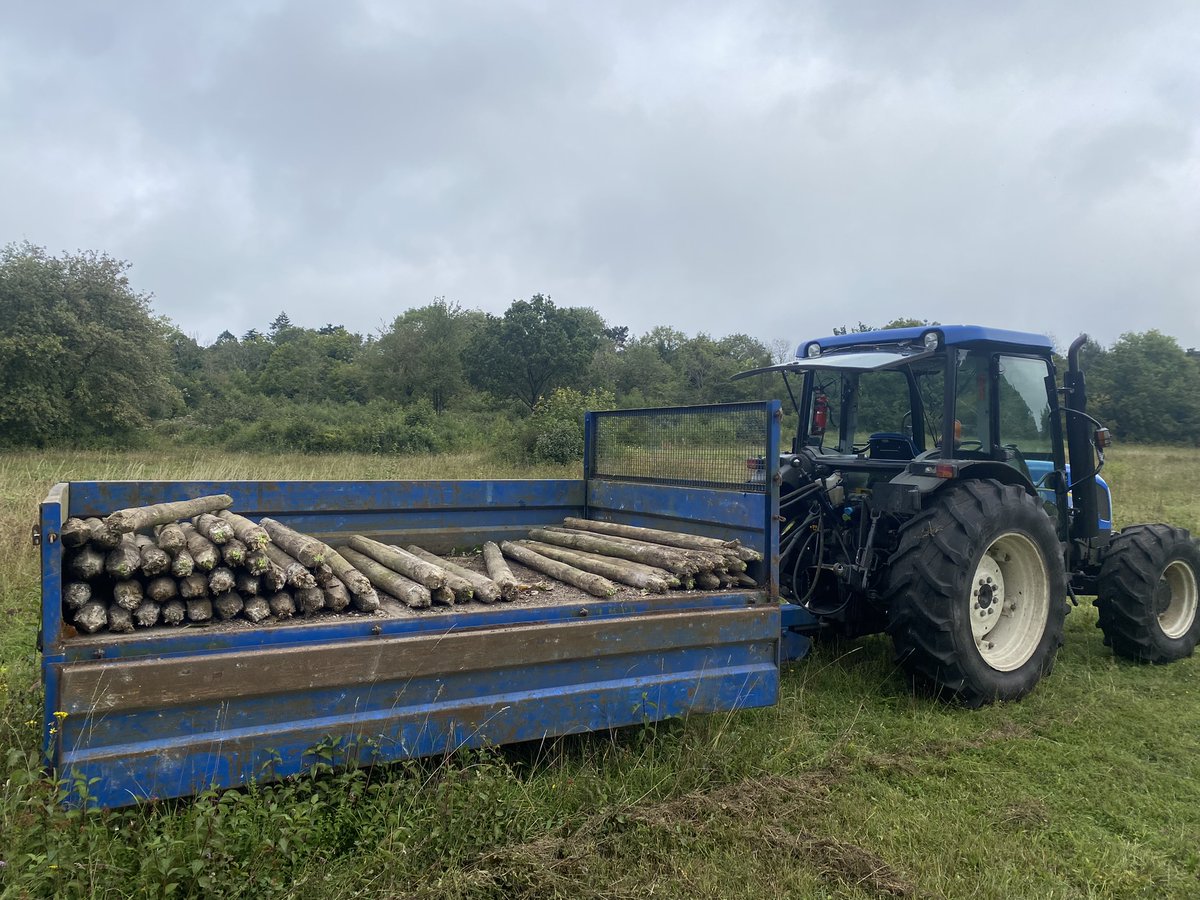 BCConservators's tweet photo. Temporary stock enclosures are being installed on #BansteadDowns & #ParkDowns this week in preparation for livestock to arrive.
We are working in collaboration with @Downygrazers & local volunteers to care for the sheep.
Dogs must kept under close control at all times.
๐ https://t.co/UcNURbUILV