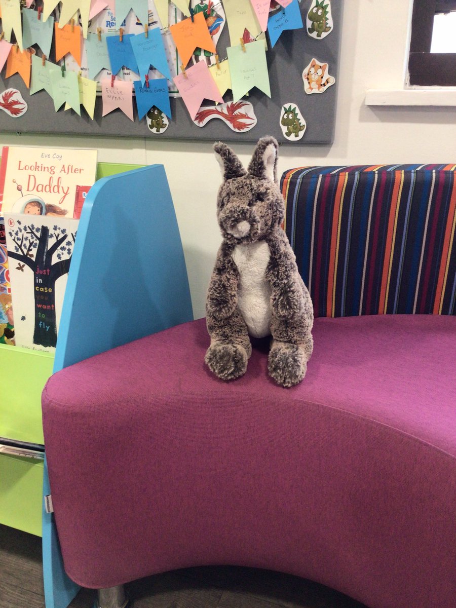 bnes_libraries's tweet photo. This lovely kangaroo has been keeping us company in #MidsomerNortonLibrary if you know of a little person whoβs missing them please let them know to pop in & see us! #ReuniteKangaroo #BNESLibraries #LibrariesLive π¦π€ https://t.co/piOg2Zd70L
