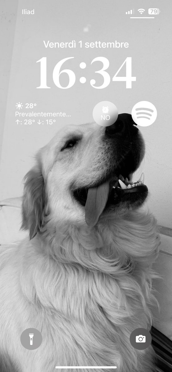 Solo perché c’è Tito