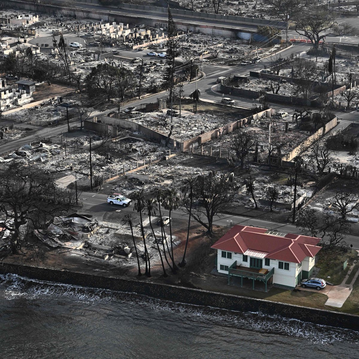 Nature's tweet image. A star being born, a spot-free giraffe, and many more. 

Check out August's best science images ➡️ nature.com/immersive/d415…