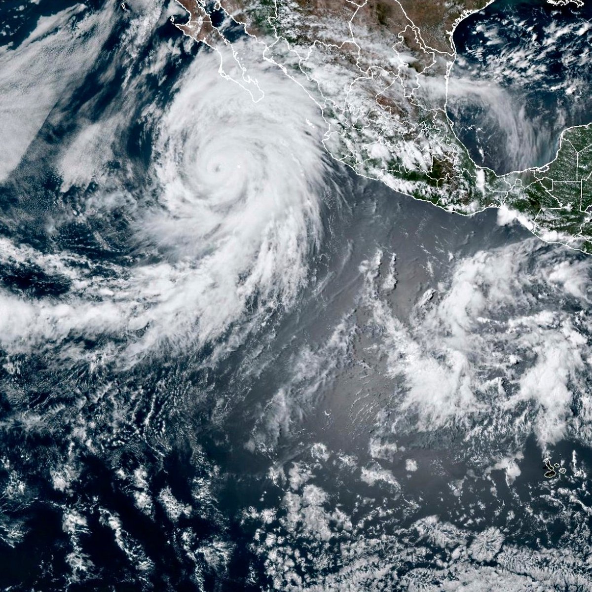 Nature's tweet image. A star being born, a spot-free giraffe, and many more. 

Check out August's best science images ➡️ nature.com/immersive/d415…