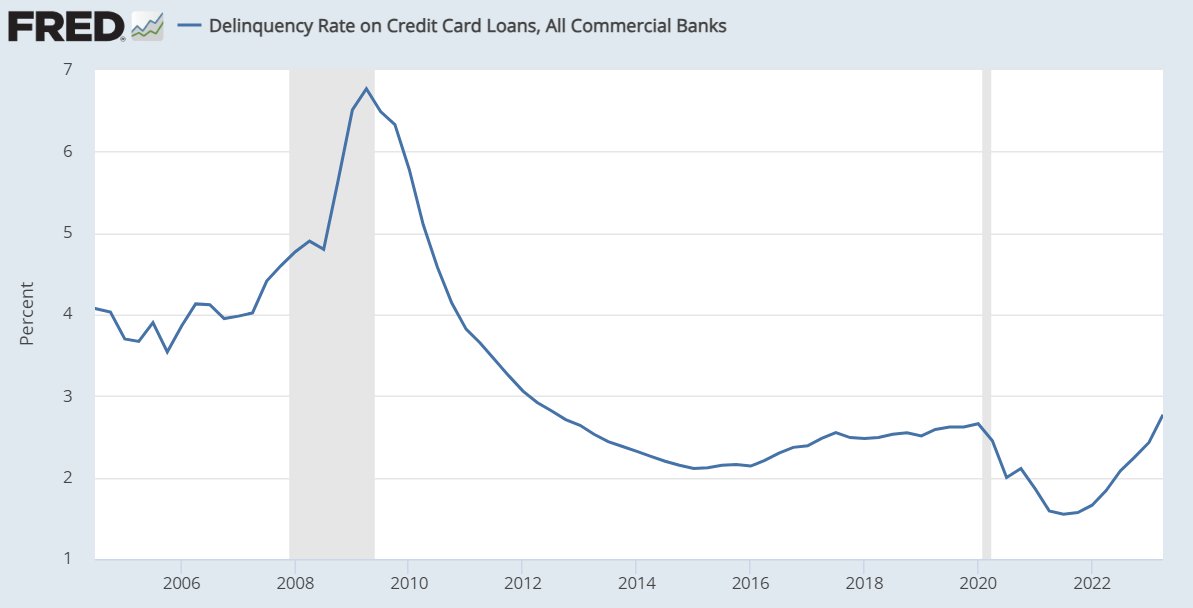 TheLastBearStanding tweet media