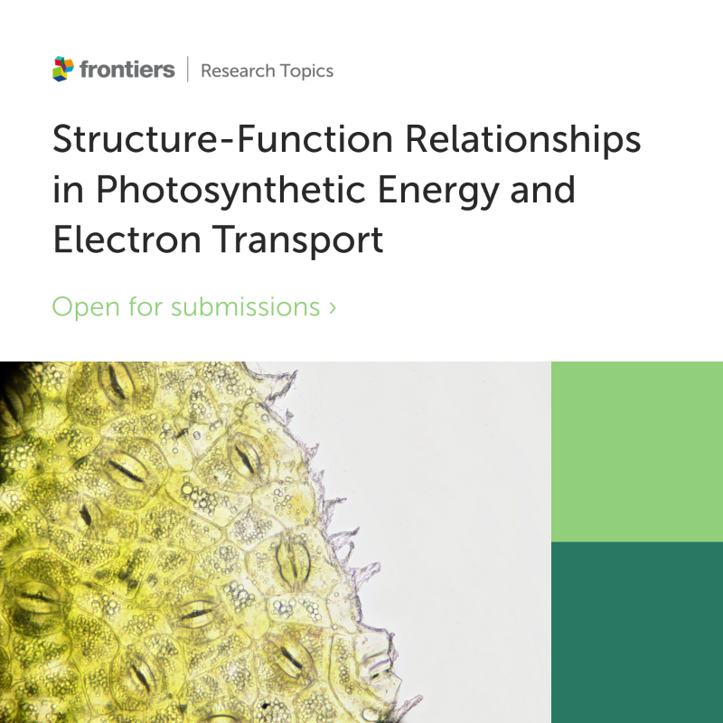 FrontPlantSci's tweet photo. 📢 Exciting news!

The deadline for the Research Topic Structure-Function Relationships in Photosynthetic Energy and Electron Transport has been extended to October 31st!

Edited by Parveen Akhtar (@parvidua), Petar Lambrev (@PHLambrev), and Stefano Santabarbara.