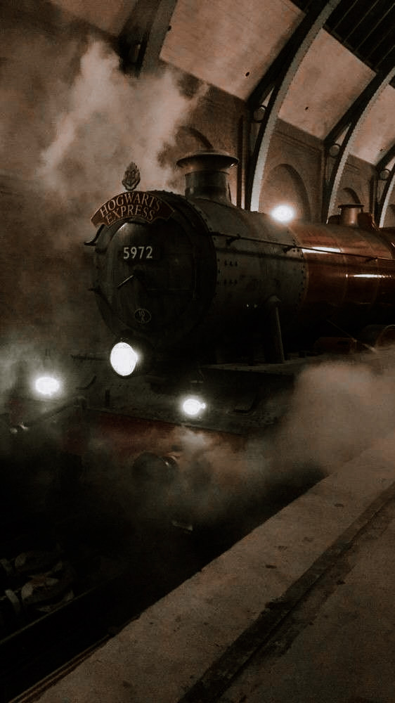  𝐓𝐇𝐄 𝕷𝐈͟𝐎͟𝐍͟𝐒 ⭑ 𝑲𝐈𝐍𝐆. tweet media