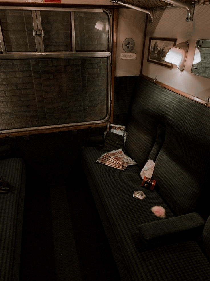  𝐓𝐇𝐄 𝕷𝐈͟𝐎͟𝐍͟𝐒 ⭑ 𝑲𝐈𝐍𝐆. tweet media