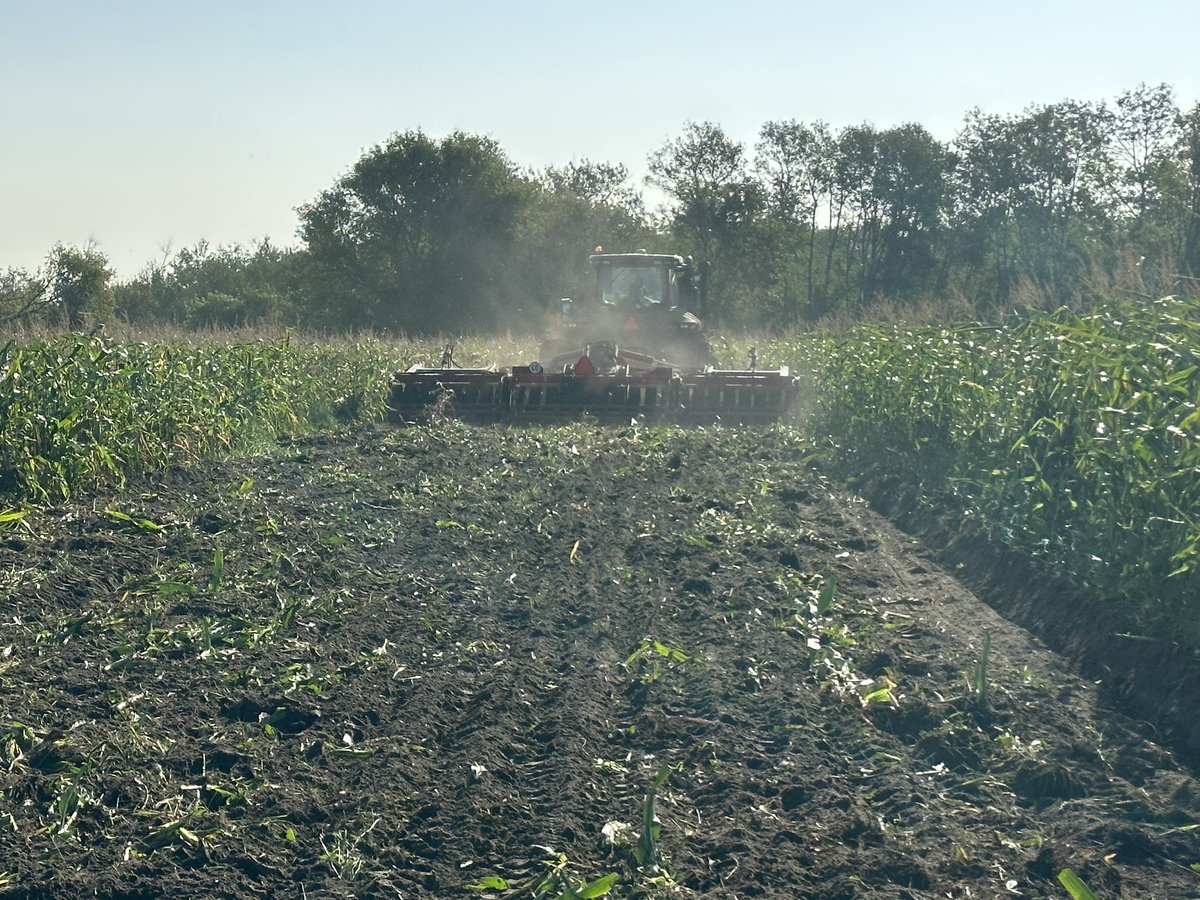 Not too bad for a single pass with the Horsch Tiger 8MT!
•
•
•
•
•