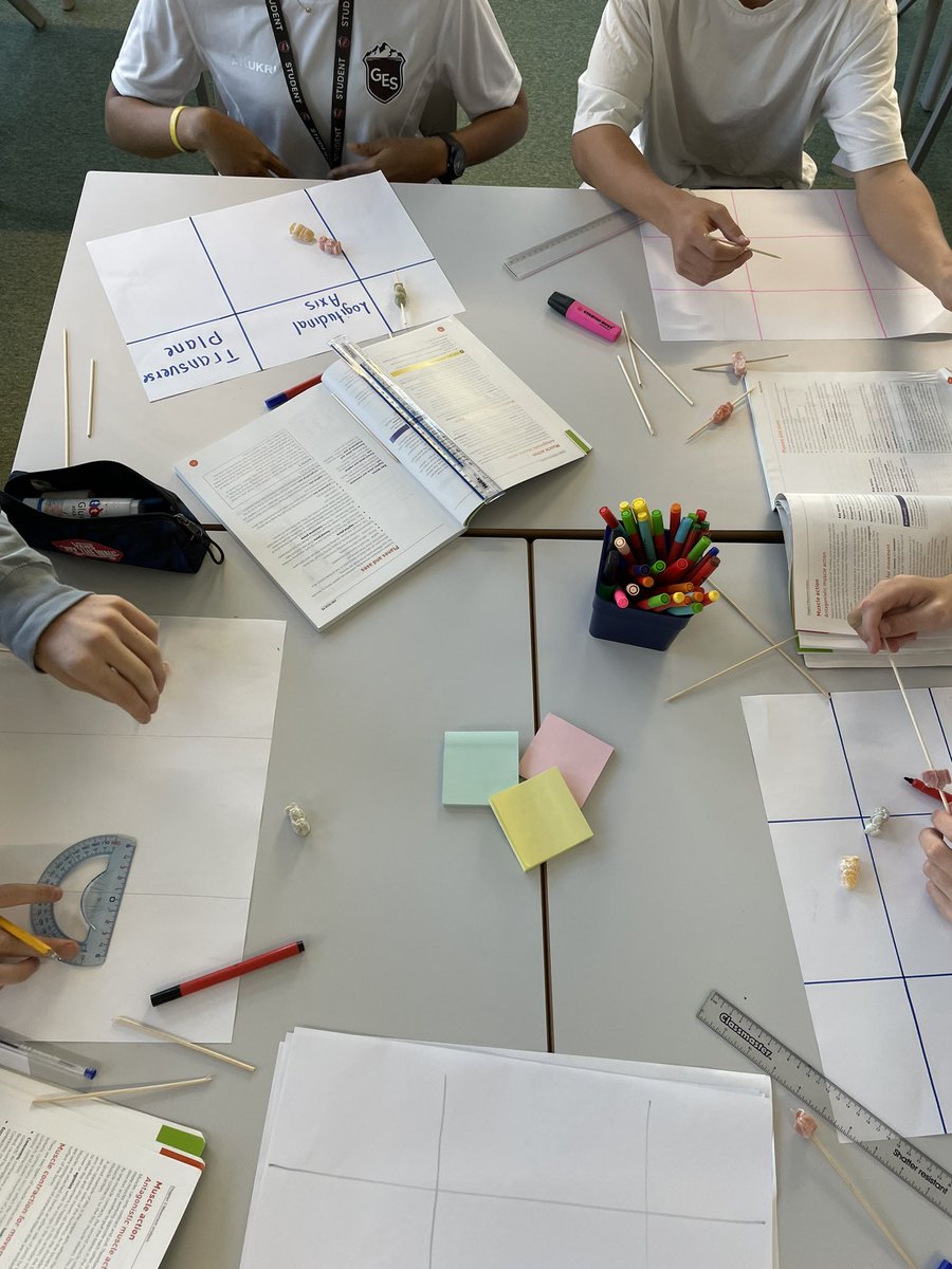 Miss Shibil PE tweet media