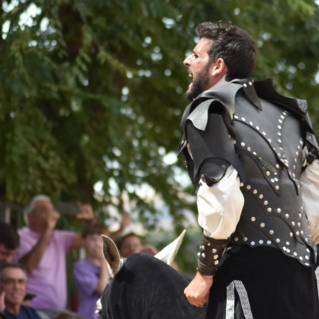 Es tiempo de justas y torneos

#MedievalesÁvila2023 #DescubreÁvila #SiEnÁvilaEstás
