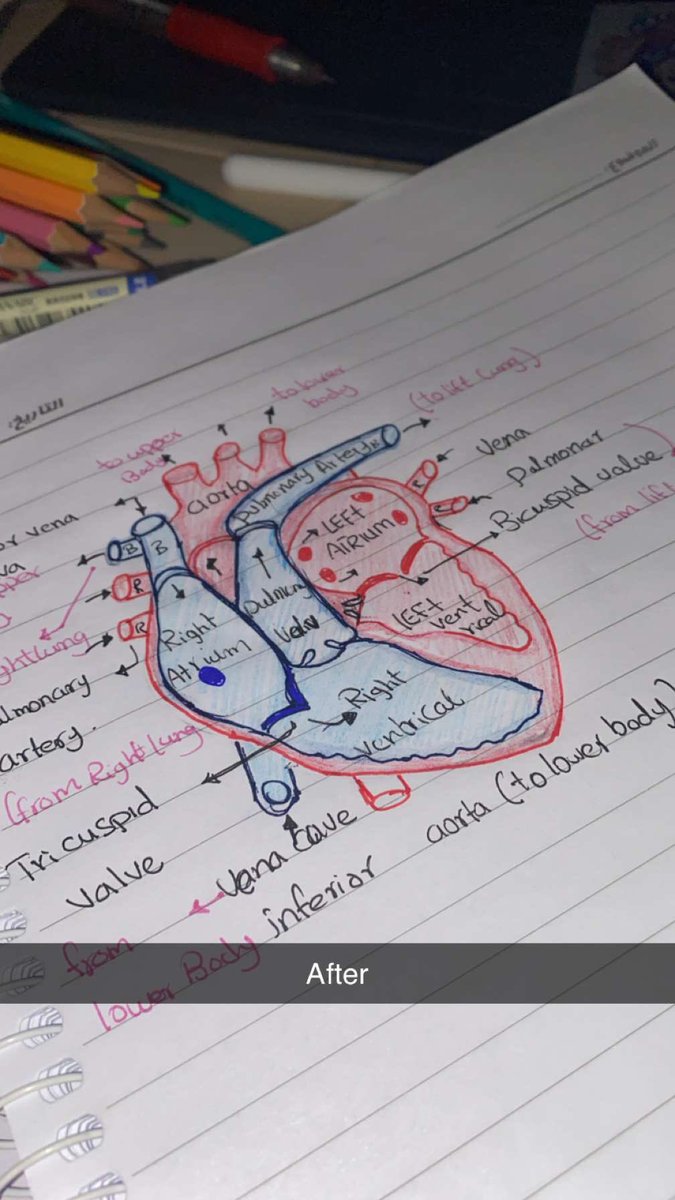 نرسم خط و نضيف شوية تفاصيل🥹