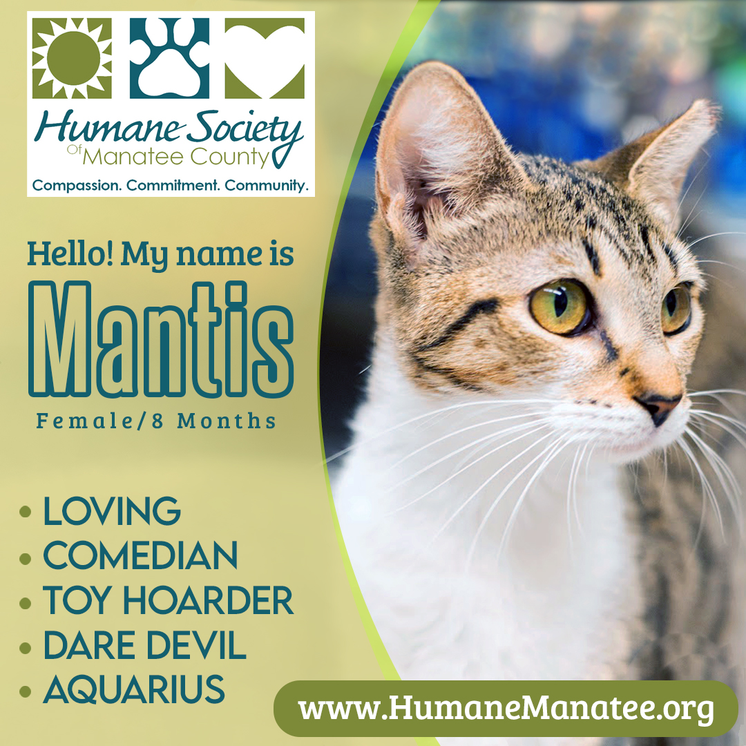 Humane Soc. Manatee tweet media