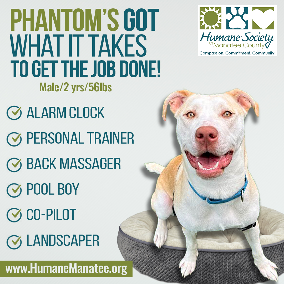 Humane Soc. Manatee tweet media