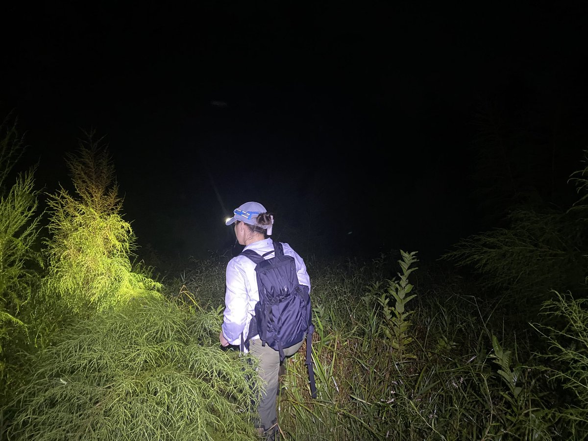 Alexa G. Guerrera tweet media