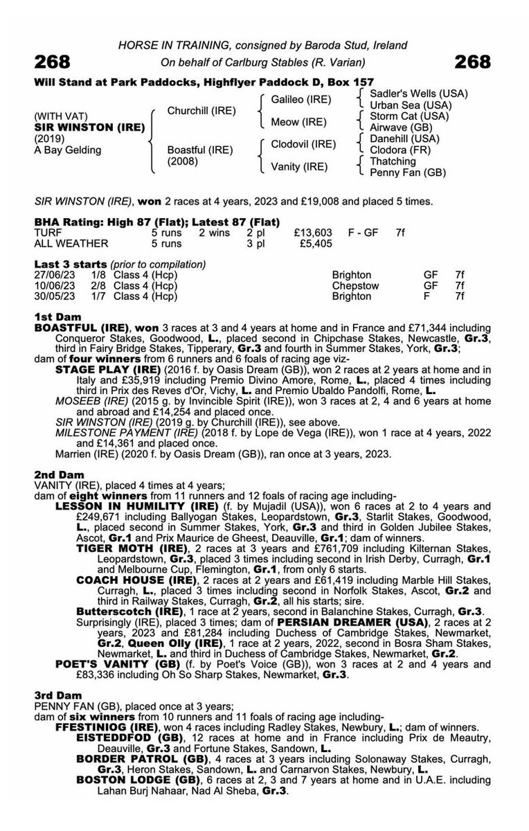 BarodaStudIre's tweet photo. SIR WINSTON, a winner @EpsomRacecourse on Monday, sells shortly. He has a Timeform rating of 98 🎯 https://t.co/AZMPqOHyxt https://t.co/6bzbvveEGV