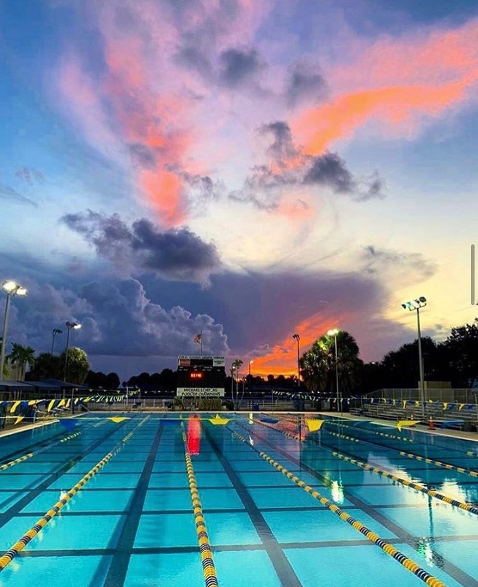 Wow! 🧡📍Coral Springs, Florida.⁠
⁠
⁠
📸 michellelenhardt
