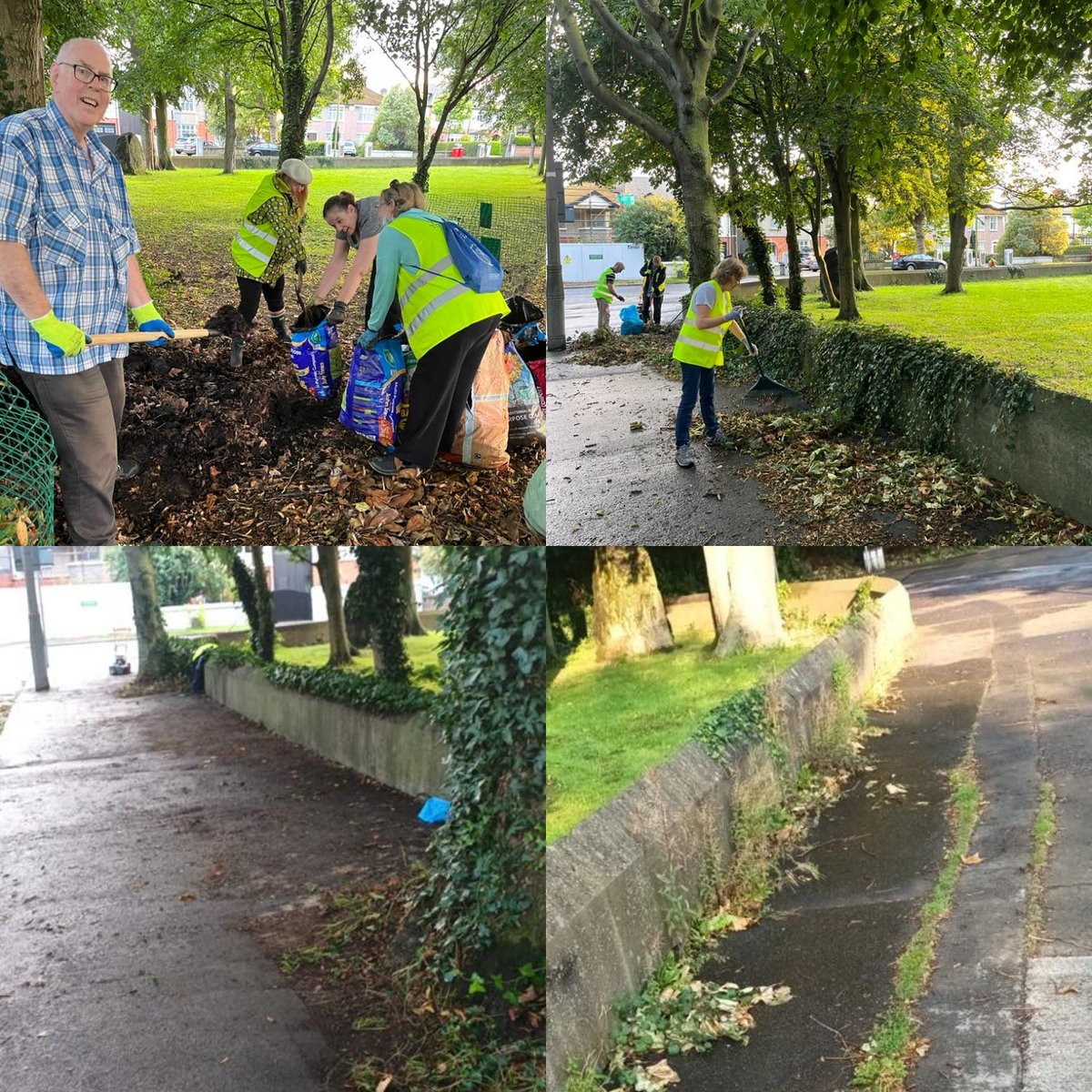Last week our Wednesday workcrew did a super job at Seacourt Green. Leaf 🍃 mulch collected from our leaf nets and the outside wall weeded and cleared. Please don't dump green waste beside or on the leaf nets. Help us #KeepClontarfTidy