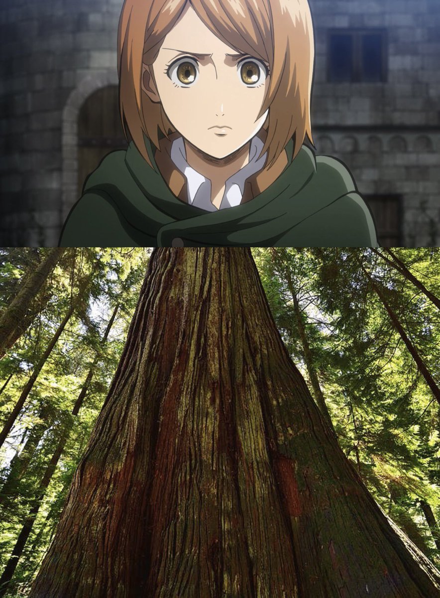 Anime Updates tweet media