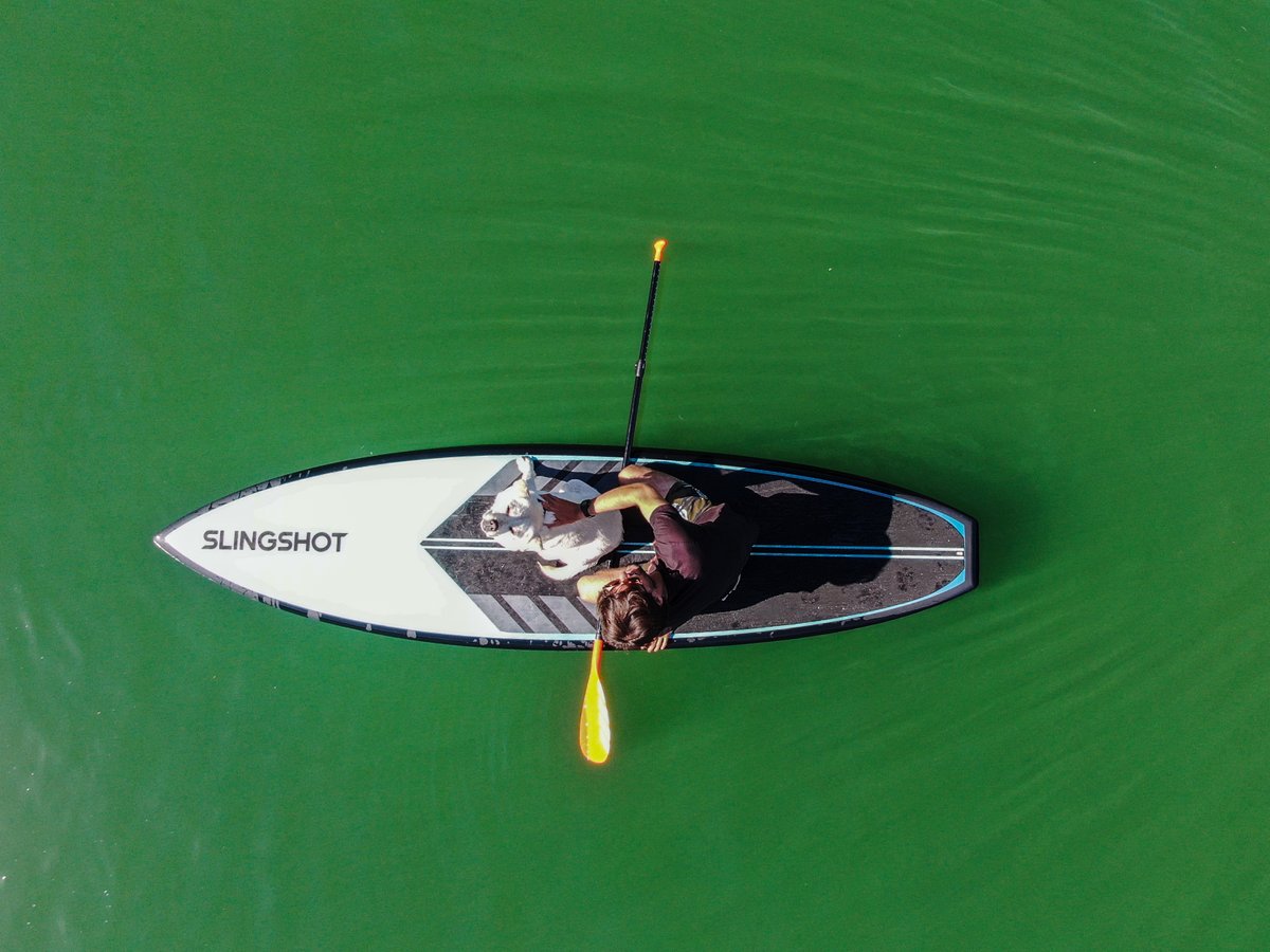 supconnect's tweet image. Unleashing adventures with my SUP pup by my side! We love our #suppups! 😍
#supconnect

📸 : @slingshotsup

.
.
.
#paddleboarding #standuppaddle #SUP #paddleboard #paddleboarder #paddleboardlife #suplife #supadventures #supboard #supcommunity #supnation #supdog #waterexplorer