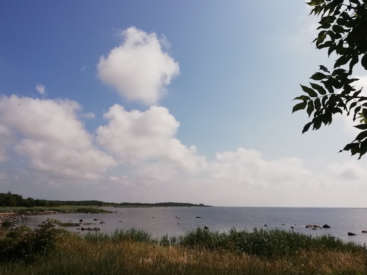 Plants People Planet 🌱👥🌐 (@plantspplplanet) on Twitter photo The importance of the continuity of practice: Ethnobotany of Kihnu island (Estonia) from 1937 to 2021
Sõukand et al. <a href="/RenataSoukand/">Renata Sõukand 🇪🇪 🇺🇦 stand with Ukraine</a> <a href="/JuliaPrakofjewa/">Julia Prakofjewa</a> <a href="/MatteoSart/">Matteo Sartori</a> @andpieroni
📖ow.ly/j0mz50PGiG3
<a href="/wileyplantsci/">Wiley Plant Science</a> The importance of the continuity of practice: Ethnobotany of Kihnu island (Estonia) from 1937 to 2021
Sõukand et al. <a href="/RenataSoukand/">Renata Sõukand 🇪🇪 🇺🇦 stand with Ukraine</a> <a href="/JuliaPrakofjewa/">Julia Prakofjewa</a> <a href="/MatteoSart/">Matteo Sartori</a> @andpieroni
📖ow.ly/j0mz50PGiG3
<a href="/wileyplantsci/">Wiley Plant Science</a>