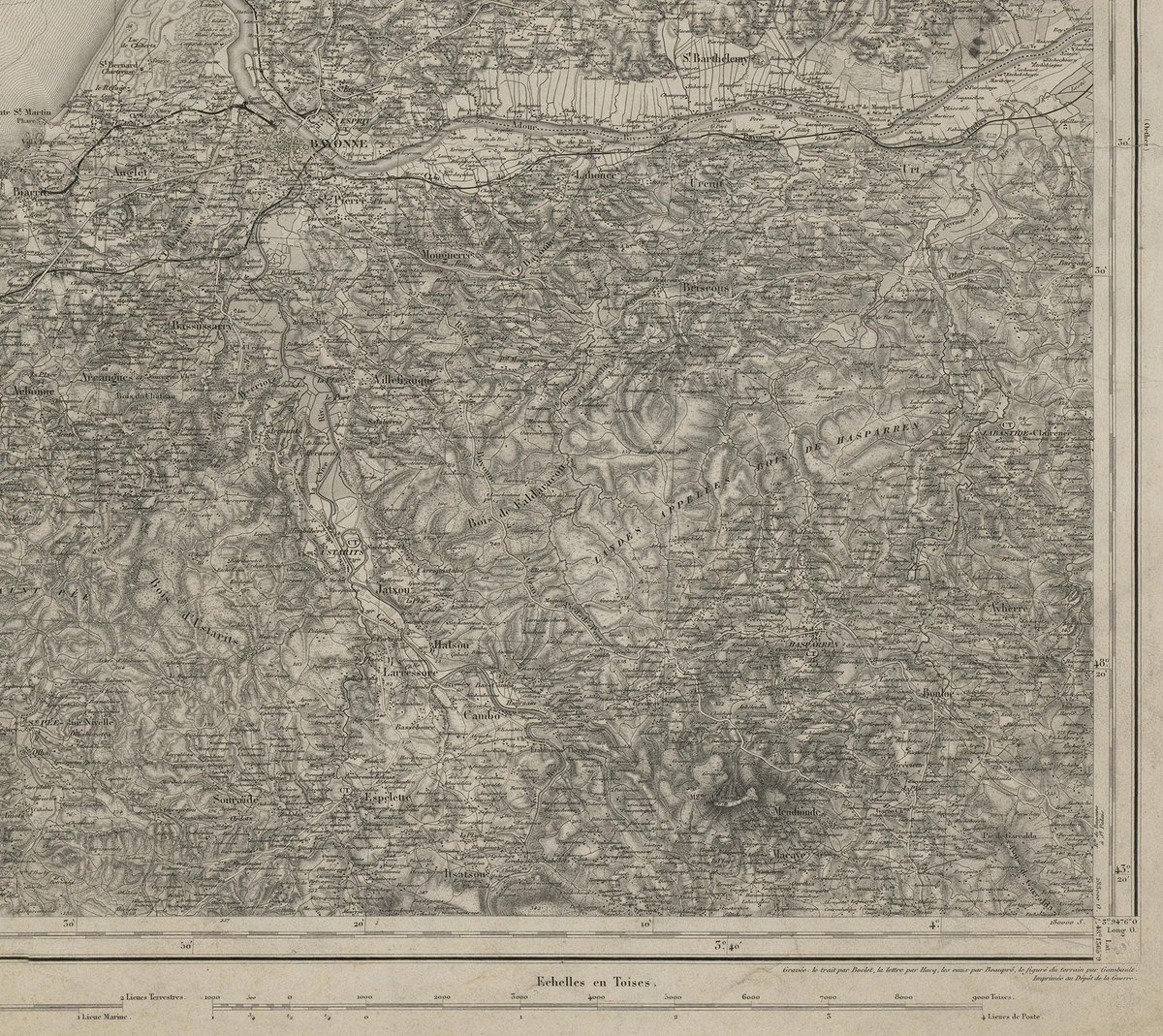 matthew edney tweet media