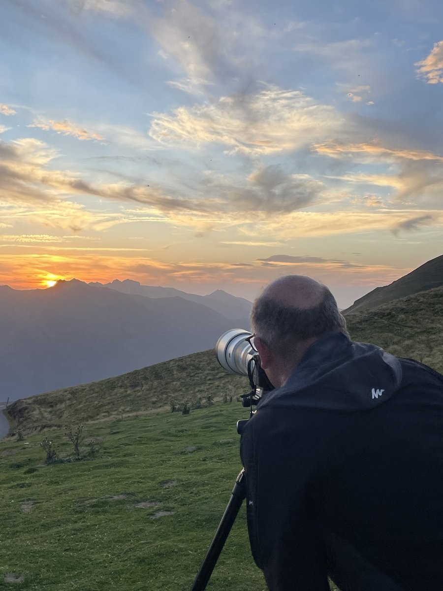 C’est déjà la fin de mon stage d’été chez <a href="/SO_Pau/">Sud Ouest Pau</a> 🥲 Le temps passe vite en terre béarnaise… Un grand merci à toute l’équipe (et à mes pious pious) pour leur bienveillance et leurs conseils !

📷 Petit florilège (non-exhaustif) de mes sujets préférés