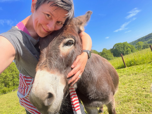 UoLSustainability tweet media