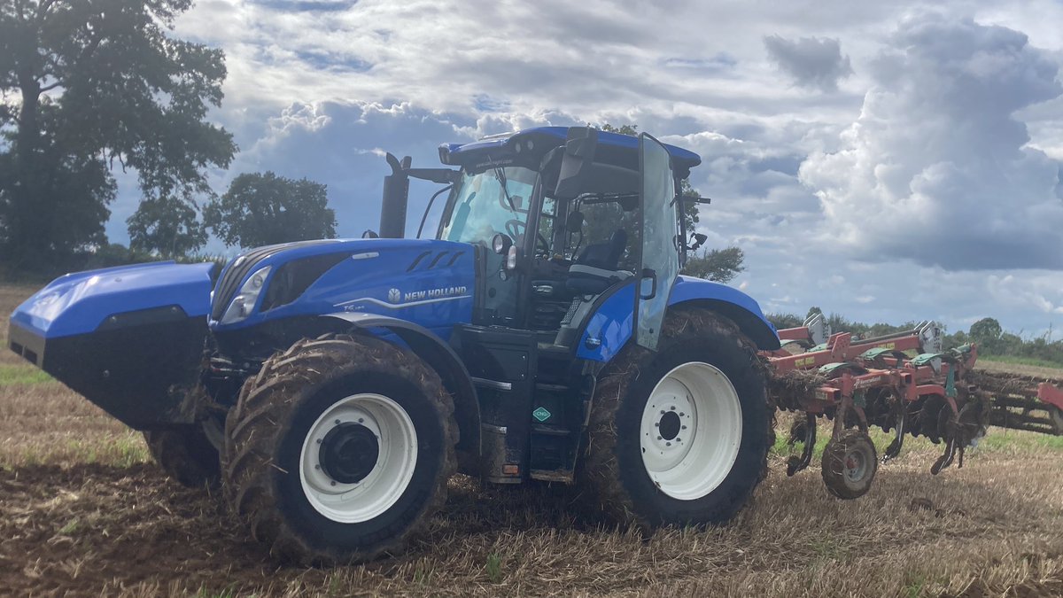 David Kelly tweet media