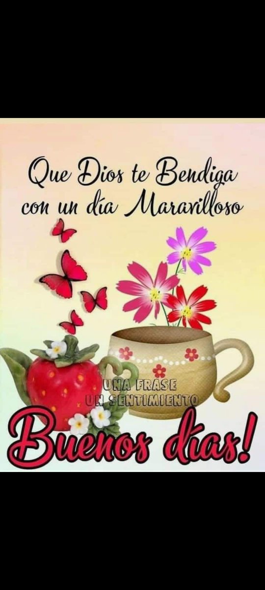 Catalina (@catalinasolanop) on Twitter photo 
