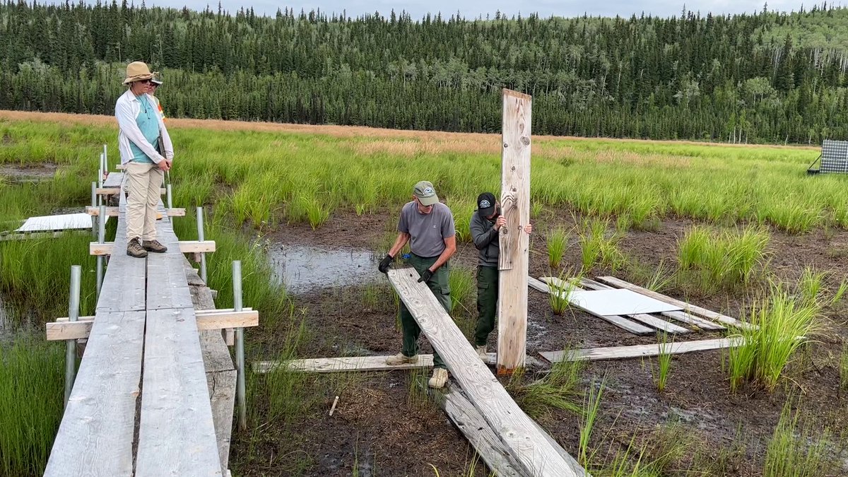 USGS_UAS's tweet photo. It's #FieldPhotoFriday!

To enable methane-sensing drone flights at a wetland environment in interior Alaska (@BNZ_LTER), our @usgs_climate and @EPAresearch collaborators placed large wood planks onto the wet soil, creating dry, flat areas for takeoff and landing. https://t.co/jvkrJCKAHf