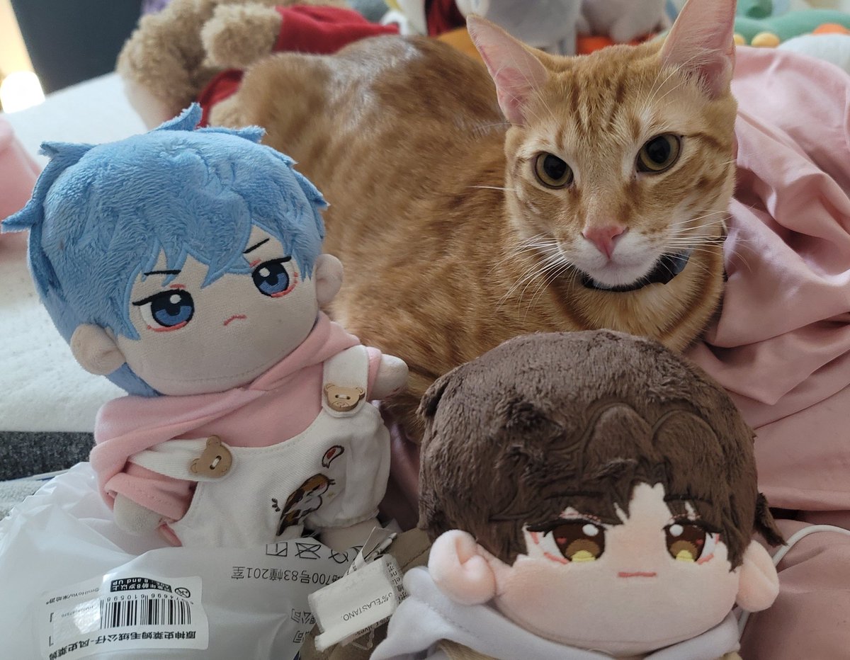 shnjhyns's tweet photo. catto https://t.co/29V6oZy4kP