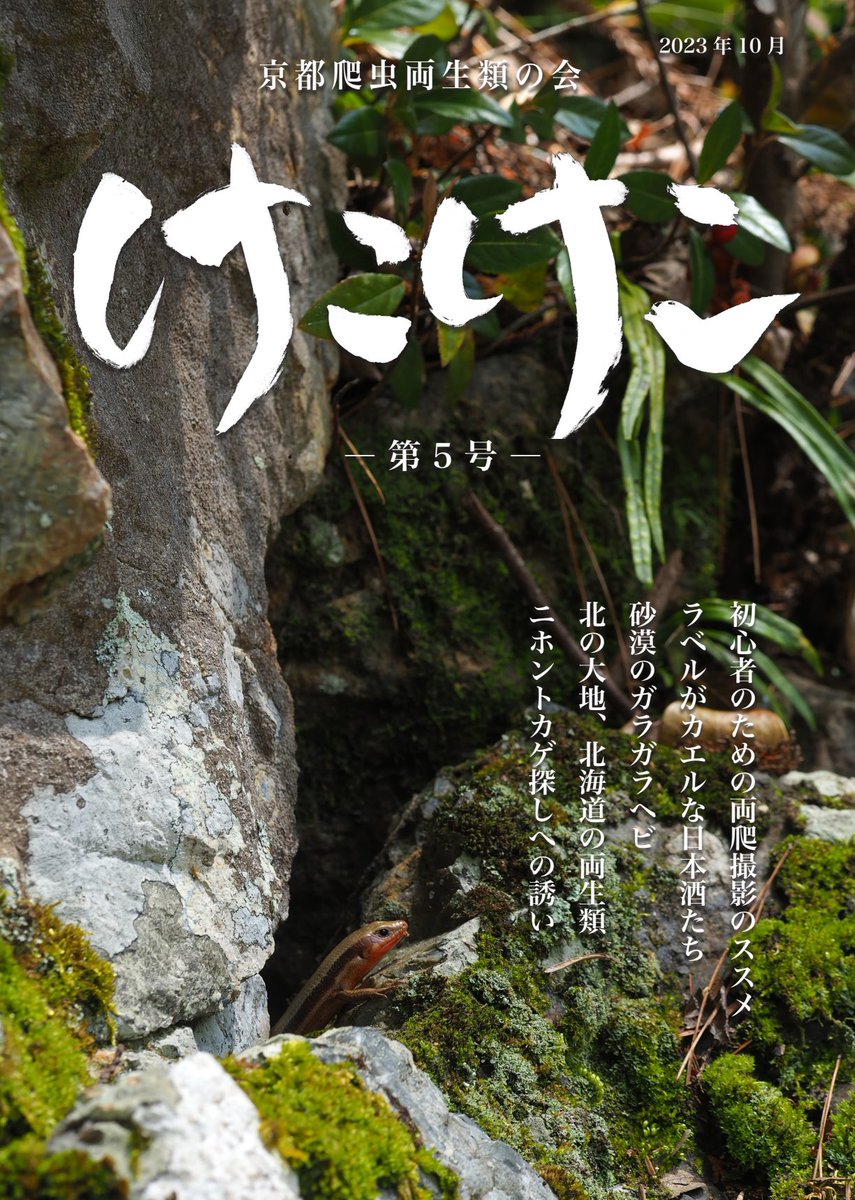 京都爬虫両生類の会 (@Kyotohapeken) / X 