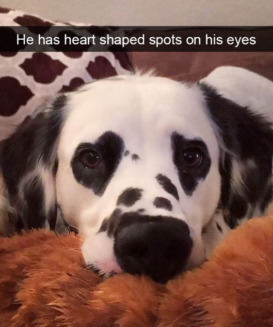 WholesomeMeme's tweet photo. https://t.co/3HB3vdjdBu