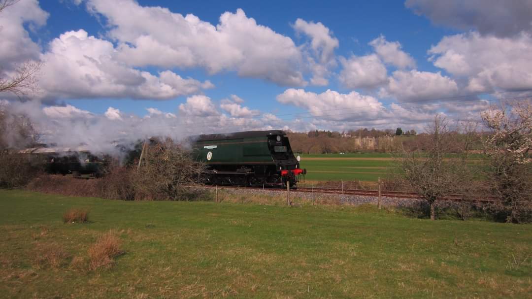 grant_sansom's tweet photo. Battle of Britain Oliver Bulleid Squadron 257 K&amp;ESR @KentRailway @KandESRailway #KentandEastSussexRailway https://t.co/dwsuUKdXTD