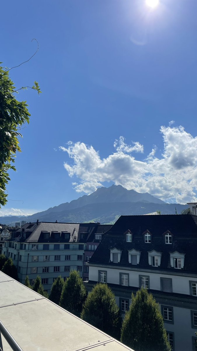 Malte Polzin  tweet media