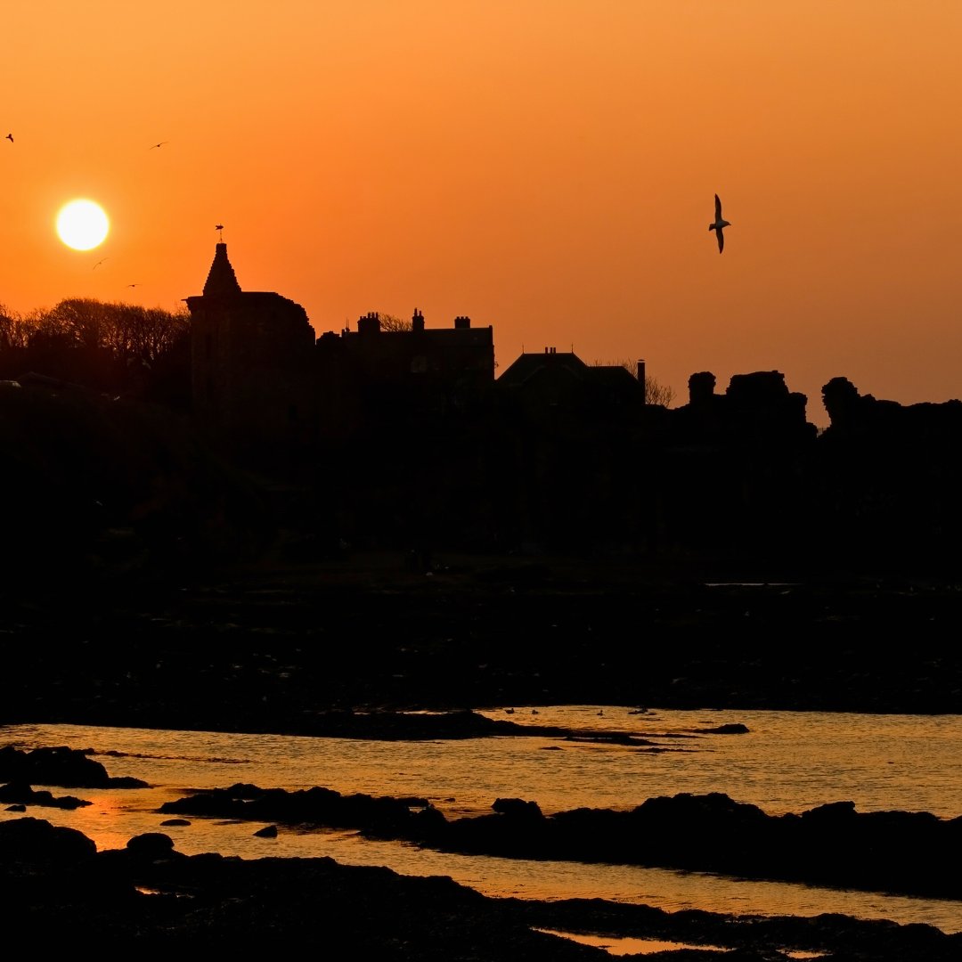 Dive into the mysterious history of St. Andrews and it's haunted old streets and lanes, with an unforgettable ghost tour 👻 Find out more and book your stay at 👉 elderburnlodges.co.uk/things-to-do/t…