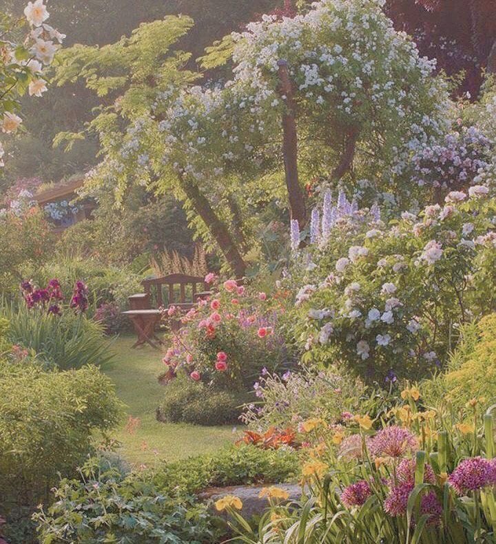 iuasthetic's tweet photo. secret garden https://t.co/Rsc712SEgd