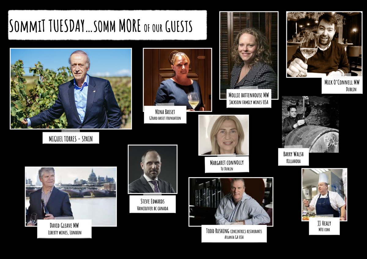 trish (@findazingthing) on Twitter photo 