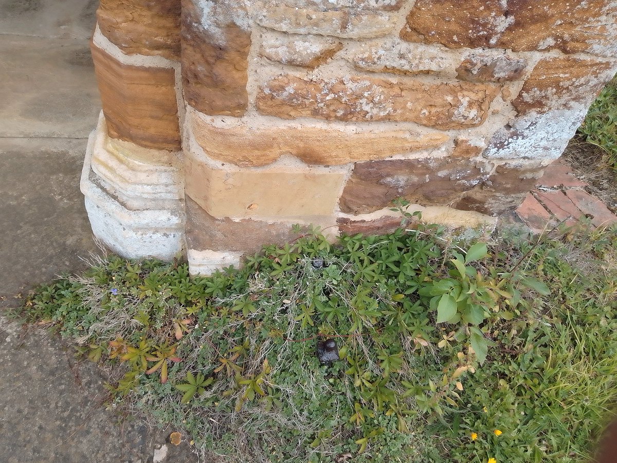 phil0073's tweet image. Churchyard Boot scraper covered by greenery #PhilOnaBike #BootScraperSaturday