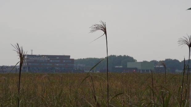 HvH3B's tweet photo. Partij voor de Dieren Zuid-Holland stelt vragen bij bouwplan Wilderszijde -  https://t.co/SZssqnW3Nt https://t.co/SbJU8uUSud