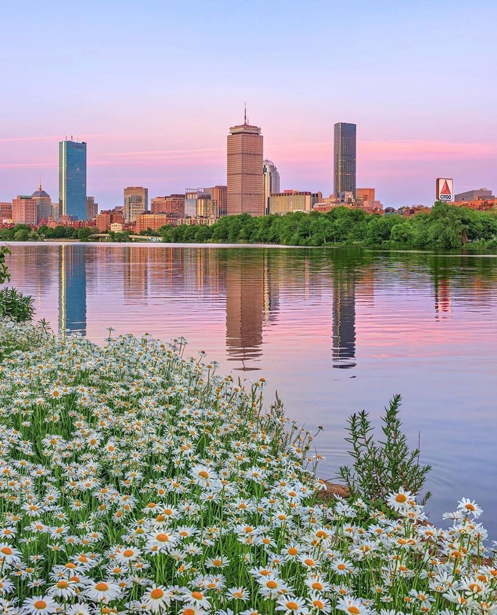Boston4Breakfst's tweet photo. Good Morning☕"Embracing the spirit of #LaborDayWeekend👨‍🏭👨‍⚕️👩‍💼👨‍🌾!
 Let's take a moment to celebrate the dedication, resilience, hard work that built America🇺🇸.  
 Here's to the the bonds that unite, not divide us.
 Happy Labor Day!  
📷TY 2 @visitboston/Ig  😊🌻🇺🇸We Followback https://t.co/l6OB4aSx3z