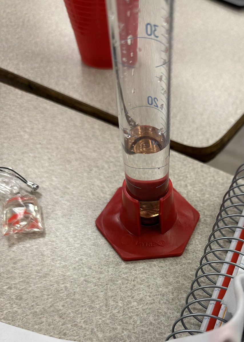 JennyWax tweet media