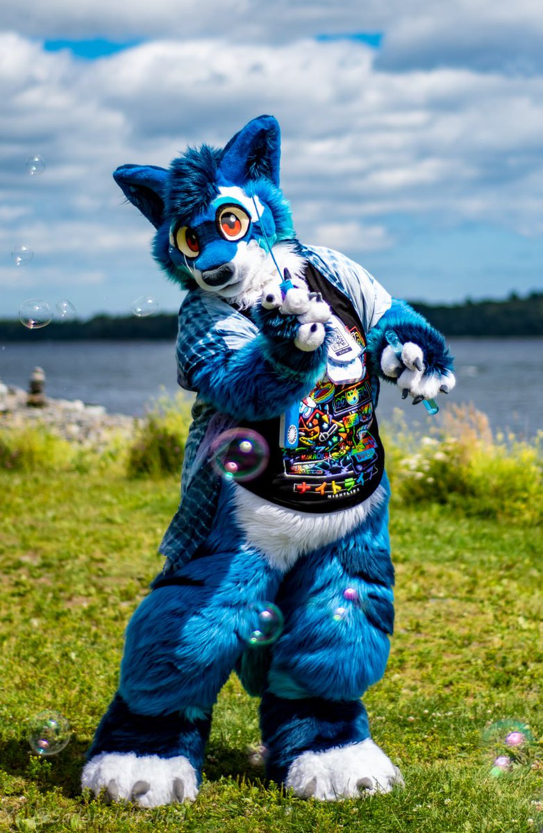Starting to feel like fall outside🍂but still plenty of time to enjoy the remaining sun and blow some bubbles! 🫧
#FursuitFriday 
Picture from the <a href="/AtlanticFurs/">Atlantic Furs</a> BBQ
📸 <a href="/SailorWolfShad/">ShadWolf</a>