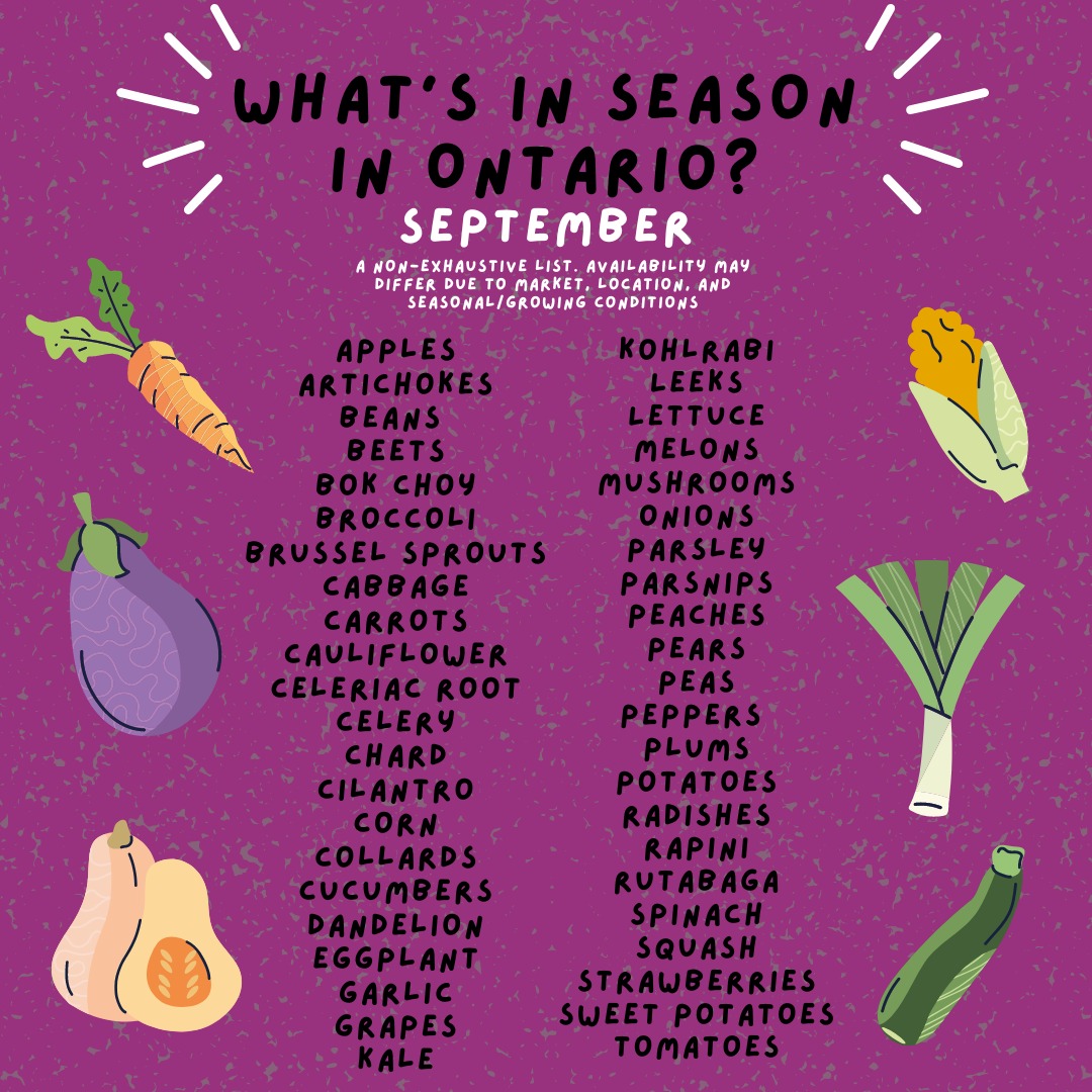 pfenningsfarm's tweet image. Fall harvest is on! For this month&apos;s #FindLocalFriday, there&apos;s something for everyone as we welcome a new season. Enjoy a variety of sweet and savory fruit and veg!

#SupportLocal #OntarioGrown #GrowingOrganic #ChangingSeasons #LoveLocal #LoveOntFood #GoodThingsGrowInOntario