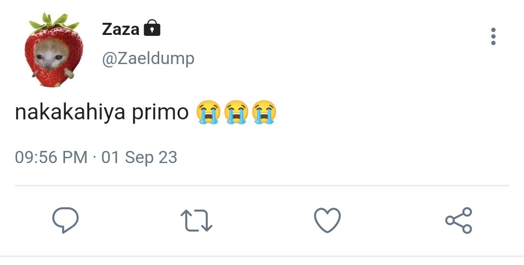 kaito 海斗 𝔑𝔈𝔚 𝔚𝔄𝔙 tweet media